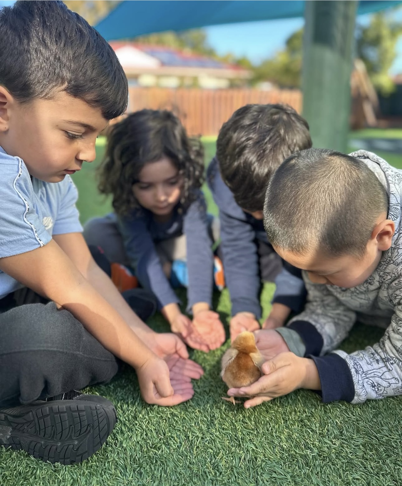 Children gathered around a baby chick, engaging in a hands-on learning experience.